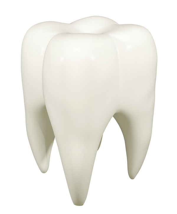 zahn amalgam