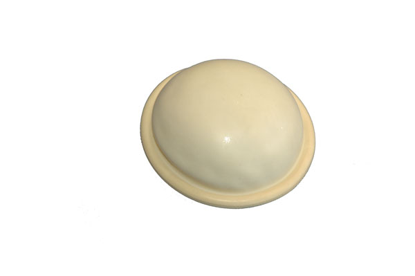 Diaphragma