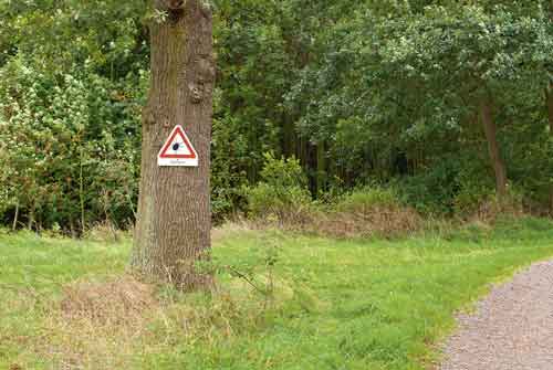 Zeckengefahr