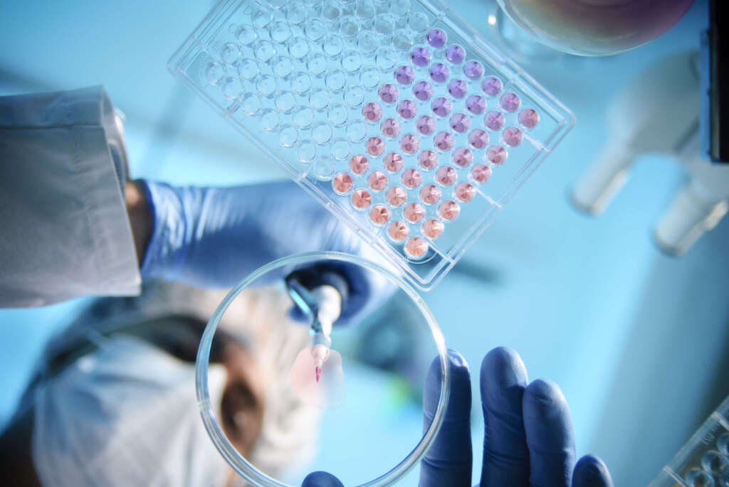 Forscher benutzen eine Pipette für Arbeiten mit einem Mikrotitter-Tablett