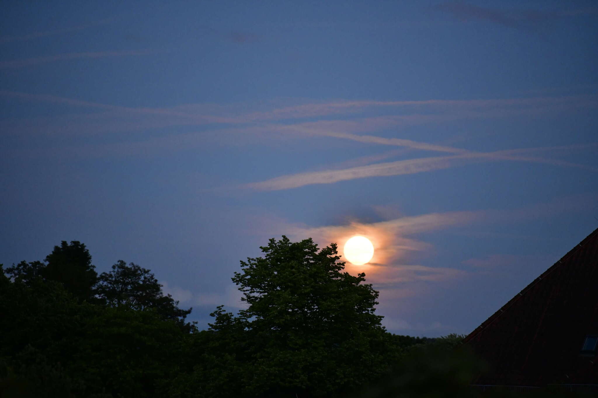 Heller Mond scheint hinter der dunklen Silhouette von Bäumen hervor, am dunkelblauen Himmel sind ein paar Schleierwolken zu sehen